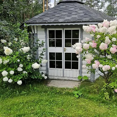 Villa Ulla With Own Beach By The Lake Of Saimaa *